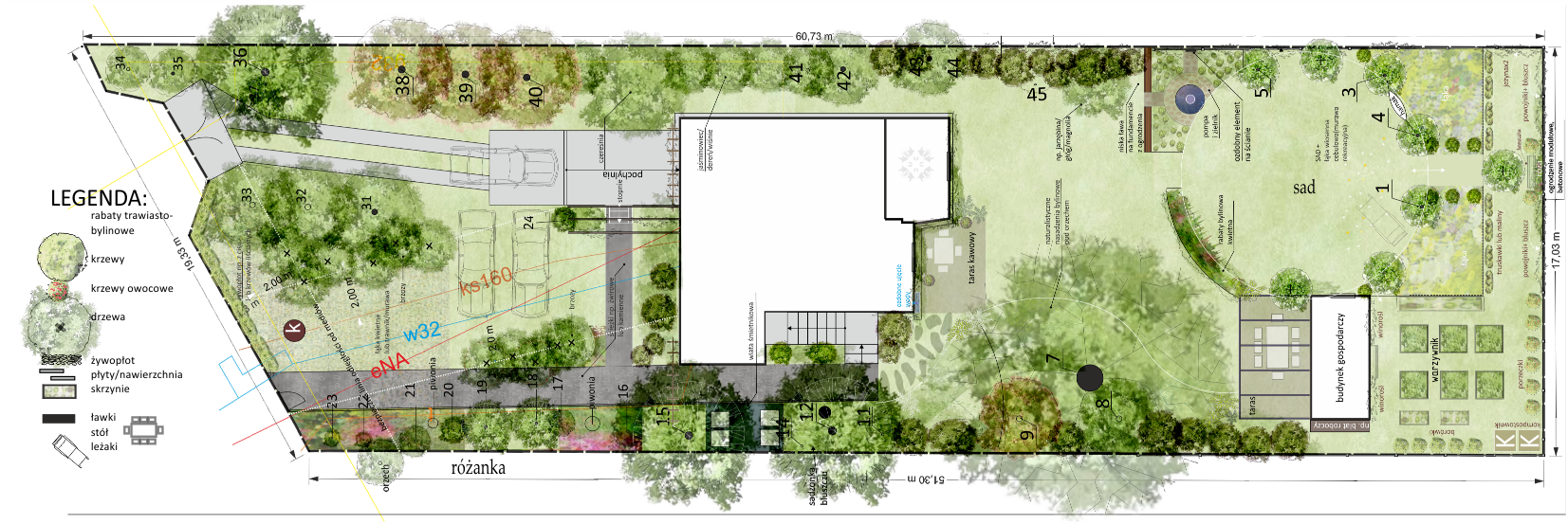projekt ogrodu w miescie zielona metamorfoza