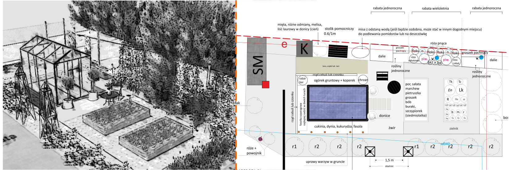 zielona metamorfoza, Tumidaj