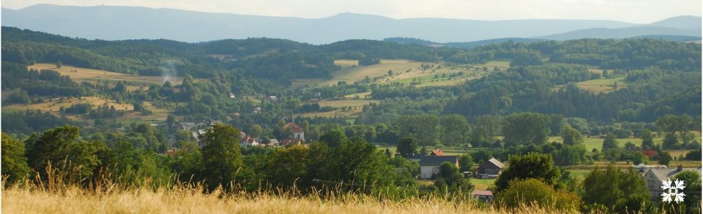 ogród krajobrazowy zielona metamorfoza ogrody w góach