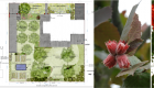 projekt, ogród polski, rodzime rośliny zielona metamorfoza