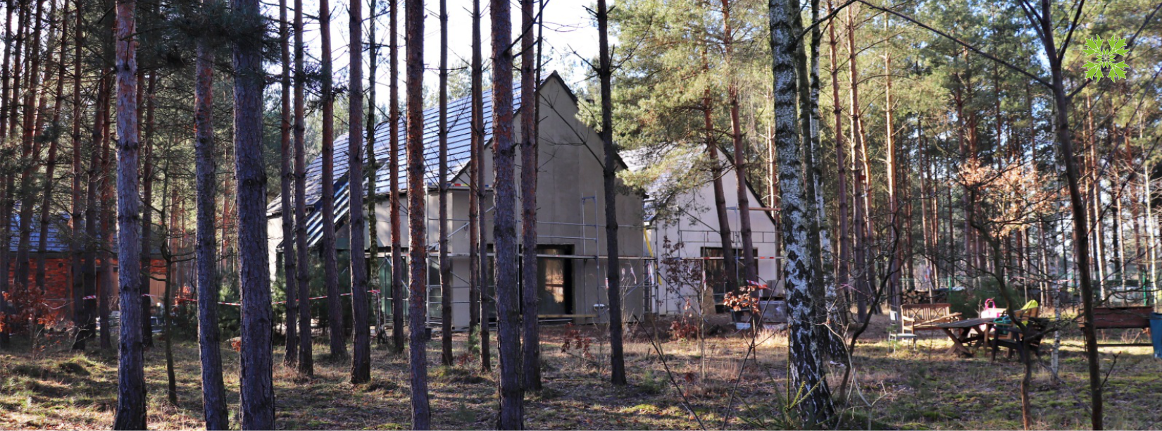 Ogród zlokalizowany na skraju lasu sosnowego mała retencja